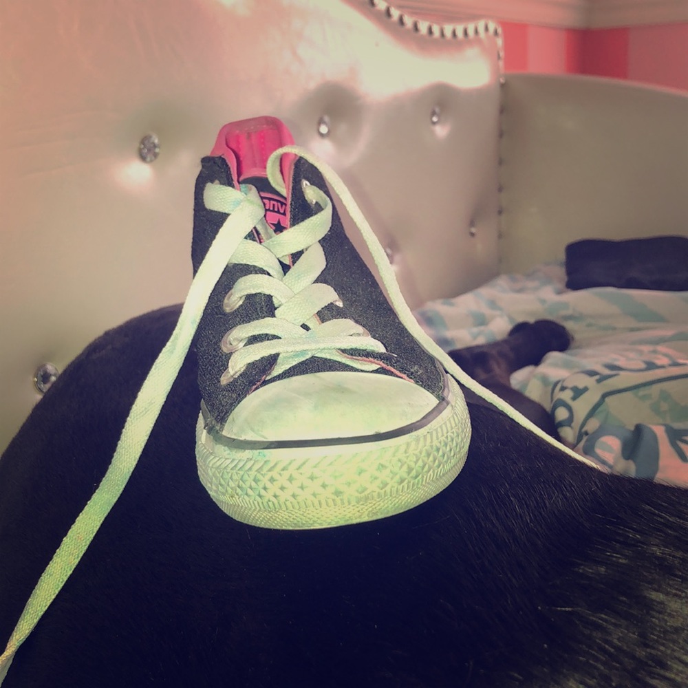 Cute converses